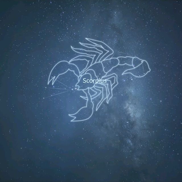 Starry-Eyed at Mount Cook: A Night Under the Milky Way!