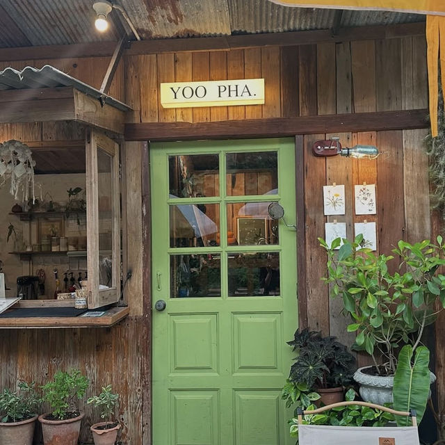 🌲 Yoo Pha – อยู่ป่า 