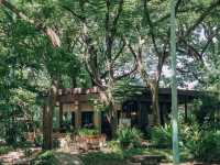 คาเฟ่มัทฉะในสวนสไตล์ญี่ปุ่น ย่านบางขุนนนท์ 🍵🌳