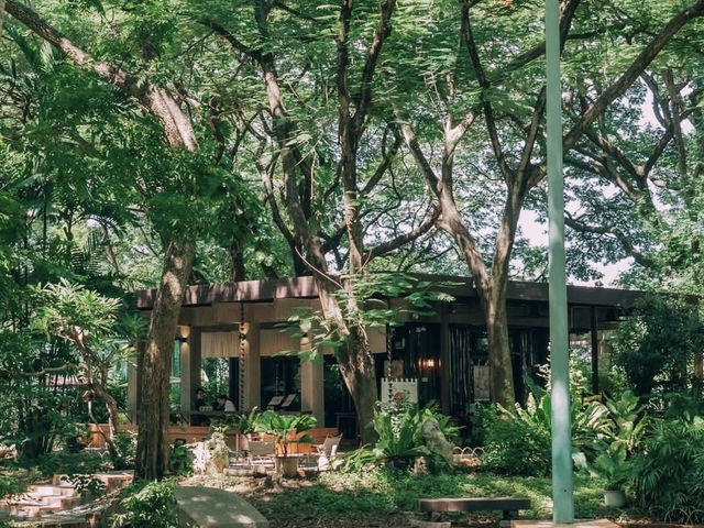 คาเฟ่มัทฉะในสวนสไตล์ญี่ปุ่น ย่านบางขุนนนท์ 🍵🌳
