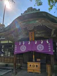 穿越時光的和風角落〔桃園神社〕⛩️