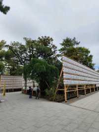 Kamigyo Ward: Where History Breaths Through Imperial Walls
