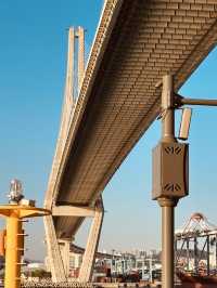 Busan Harbor Bridge: An Iconic Landmark Offering Dazzling Vistas