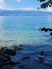 【湖畔の優雅なひととき】ジュネーブ湖で心ほどけるスイス旅🚤🌿