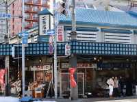 🌊 Bustling, Fresh & Full of Character – Nijo Market, Sapporo