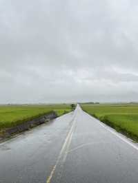 💦雨天版伯朗大道｜金城武樹水鏡奇景 ，其實遺憾也是旅途的一部分！