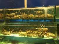 🦞 Seafood Feast by the Sea at Jade Garden Seafood Corner