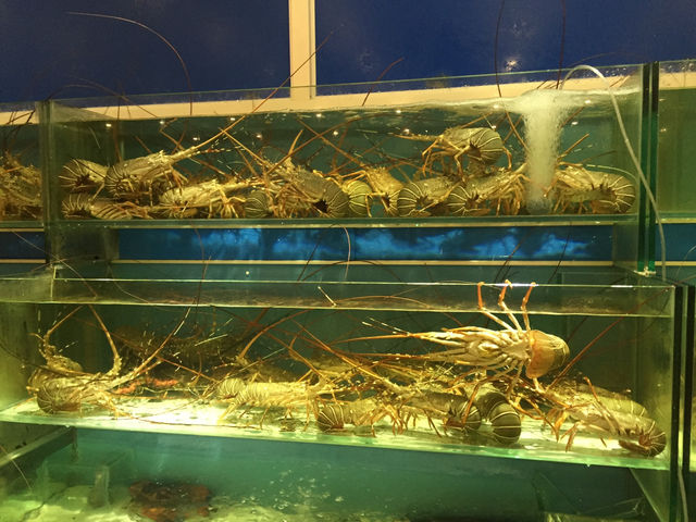 🦞 Seafood Feast by the Sea at Jade Garden Seafood Corner