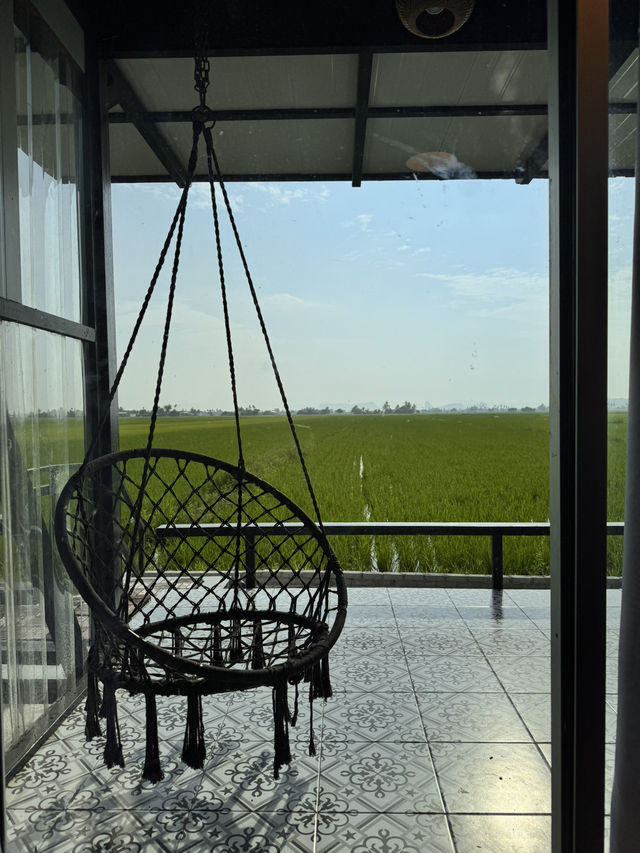 Ricefield Retreat