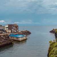 Easily Accessible Natural Beauty Near Jeju City