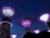 Gardens by the Bay.