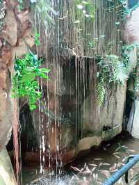 “Explore Malaysia’s Aquatic Wonders at Akuarium Negara”