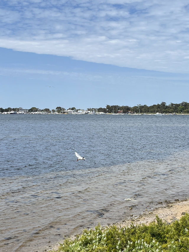 💙 Perth’s Iconic Blue Boat House: Simplicity Meets Serenity 🛶🌊