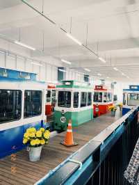 부산 바다 따라 달리는 열차🚃 해운대 해변열차 탑승기