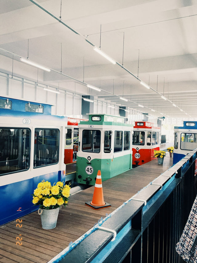 부산 바다 따라 달리는 열차🚃 해운대 해변열차 탑승기
