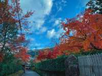 รีวิว Nanzen‑ji – วัดเซนที่ตกหลุมรัก