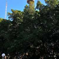 Hyde Park & ANZAC Memorial