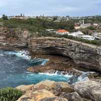 Watsons Bay & Gap Bluff