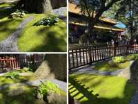 普濟寺：見證普陀山主剎的歷史軌跡與精神象徵