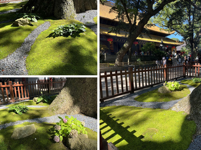 普濟寺：見證普陀山主剎的歷史軌跡與精神象徵