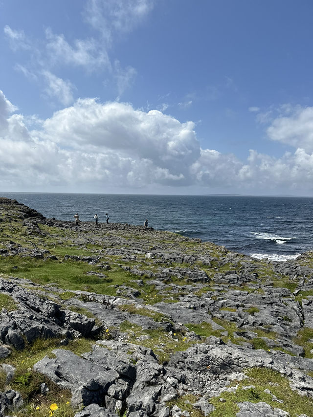 愛爾蘭🇮🇪July 2024