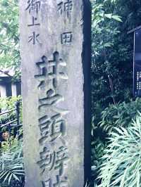 【大人な井の頭公園　東京　吉祥寺　三鷹　井の頭池アラウンドウォーキング】