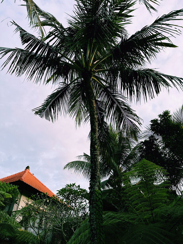 Sunrise Serenity at Prabhu Ubud Villa