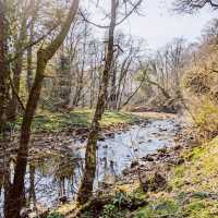 Brock Bottom River