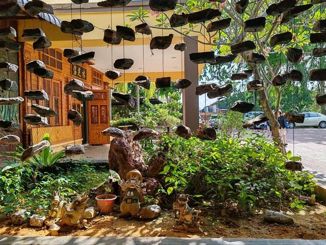 Exploring Gano Farm: A Wonderful World of Mushrooms
