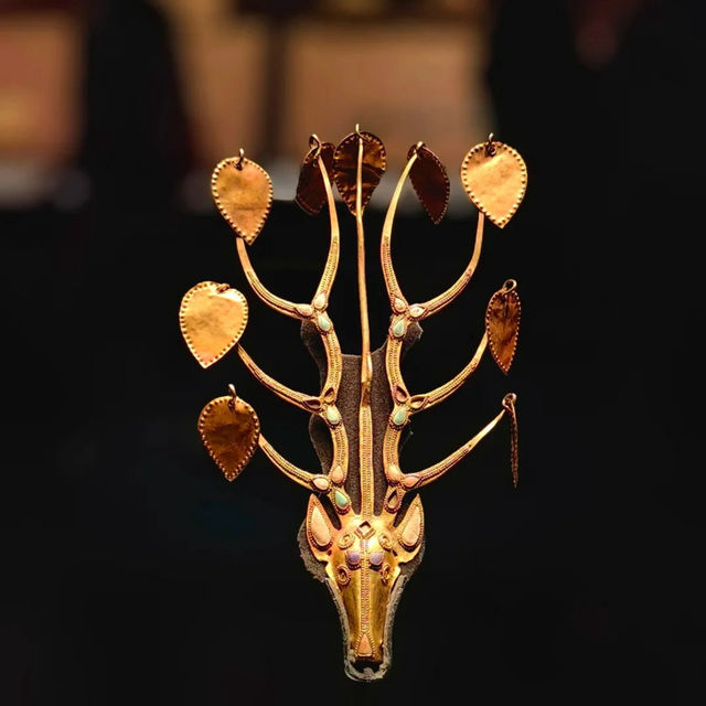 📍Inner Mongolia Museum – What to Know for Your First Visit!