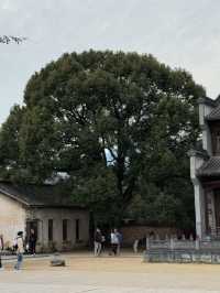 Frozen in Ink: Where Hongcun Becomes a Painting