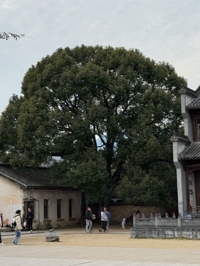 Frozen in Ink: Where Hongcun Becomes a Painting