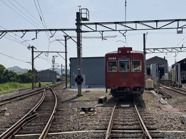 Wakayama: A Warm & Welcoming City Just Beyond Osaka! 🐱🚂
