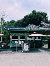 Into the Wild: First Impressions at Paya Indah Wetlands