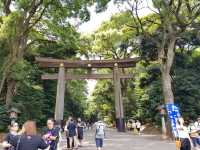 วัดเมจิ (Meiji Jingu) – ศาลเจ้าศักดิ์สิทธิ์