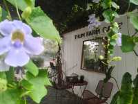 คาเฟ่เปิดใหม่ศรีราชา THUM FARM CAFE