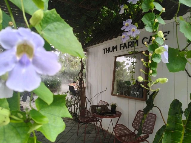 คาเฟ่เปิดใหม่ศรีราชา THUM FARM CAFE