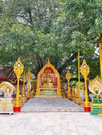 วัดพระธาตุพนมวรมหาวิหาร✨️
