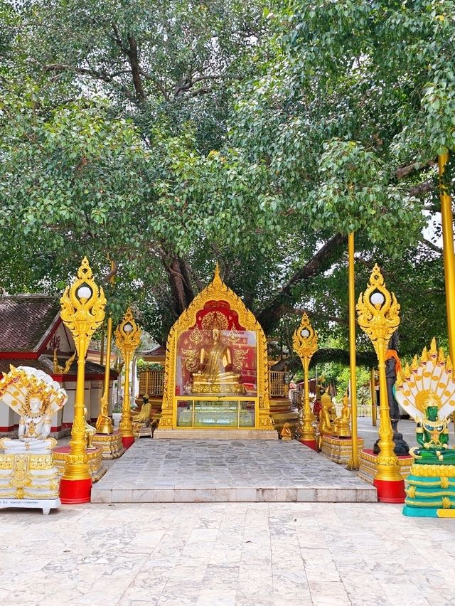 วัดพระธาตุพนมวรมหาวิหาร✨️