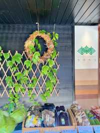 【軽井沢】涼を感じる🌿𓂃◌𓈒𓐍避暑地で夏を満喫