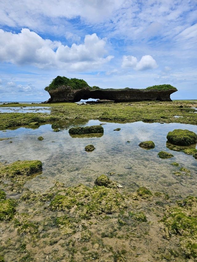 🐚干潮の岩場で“ジンベエザメ”探検。渡具知が魅せる自然のアート。