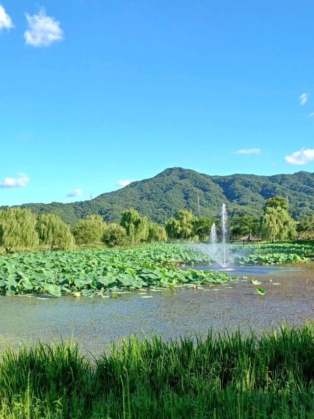 마음이 환해지는 햇살 가득한 공간 ☀️