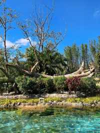 Tropical River at Discovery Cove Orlando | Lazy River Meets Luxury Spa
