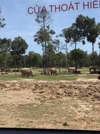 富國島-珍珠樂園+動物園