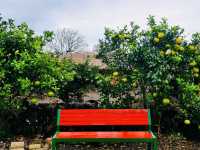 A Cultural Immersion Beyond the Tourist Path