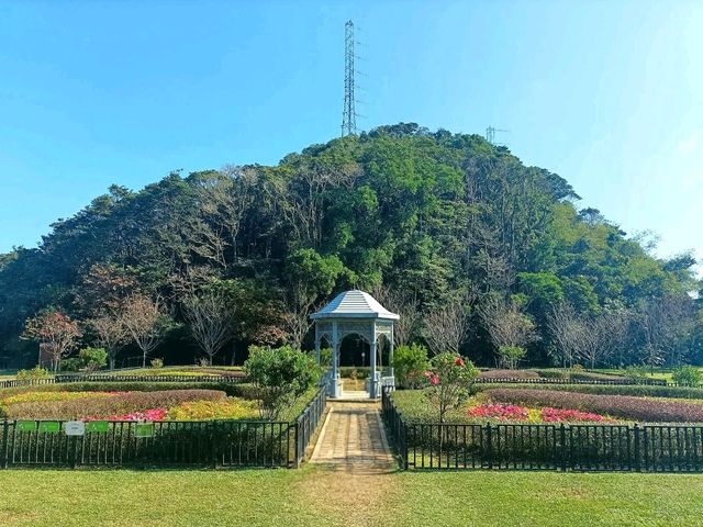 Victoria Peak Garden: A Quiet Escape Above Hong Kong