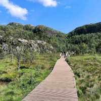 Preikestolen (Pulpit Rock) – Norway