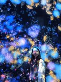 Enchanting World of Digital Art— TeamLab Borderless Tokyo 