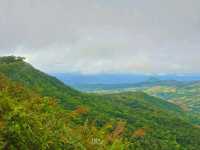 รับลมหนาว อุทยานแห่งชาติภูเรือ เลย