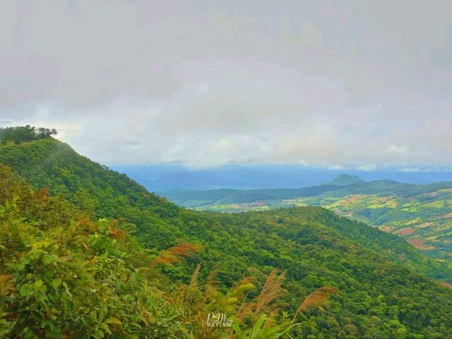 รับลมหนาว อุทยานแห่งชาติภูเรือ เลย